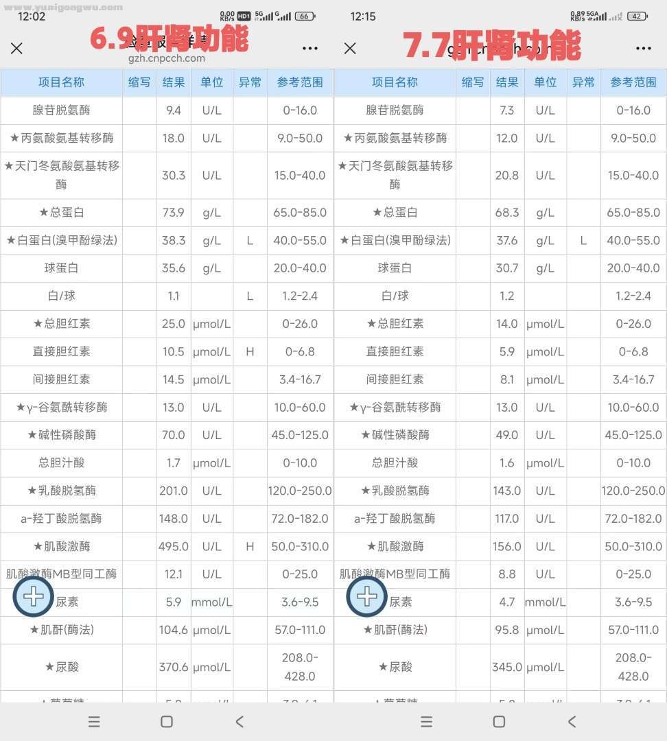 医药是利剑，营养是盾牌，又双叒叕喝了一个月倍瑞搏啦